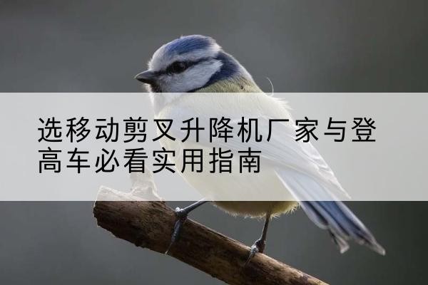 宣州电动升降机厂家-选移动剪叉升降机厂家与登高车必看实用指南