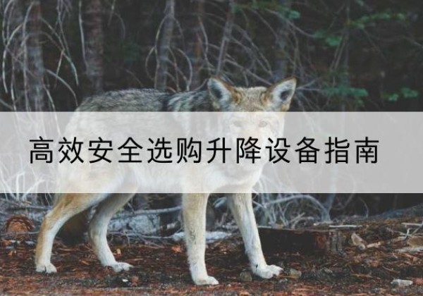 宣州升降货梯厂家推荐-*安全选购升降设备指南