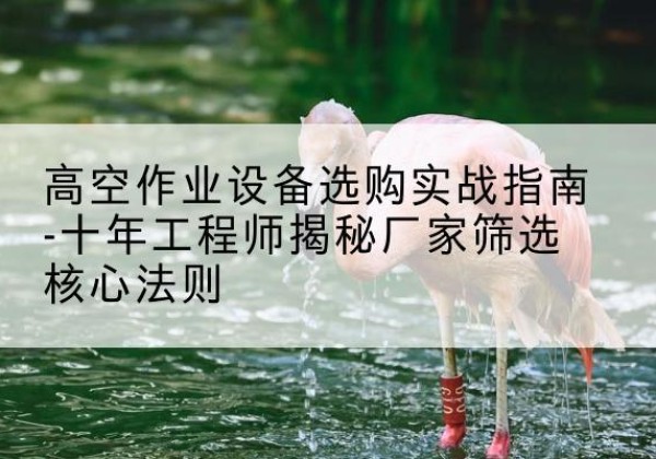 宣州剪叉式升降机厂家-高空作业设备选购实战指南-十年工程师揭秘厂家筛选核心法则
